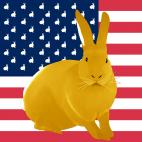 GOLD-FLAG VERT FLAG rabbit flag Showroom - Inkjet on plexi, limited editions, numbered and signed. Wildlife painting Art and decoration. Click to select an image, organise your own set, order from the painter on line